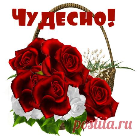 Славия Всё могут короли — Созвездие Счастья