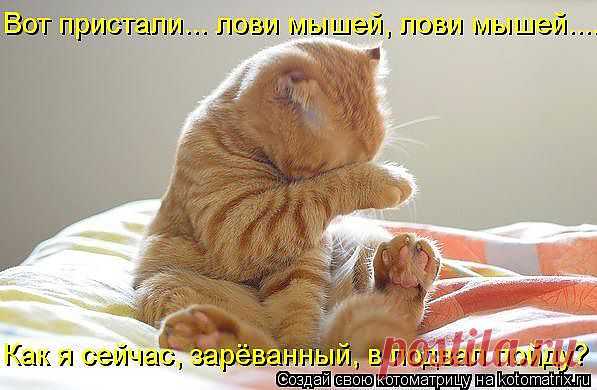 улыбнитесь!