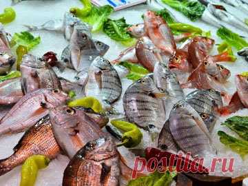 Рыба и морепродукты. Польза рыбы | Эффективное похудение. Все виды диет
