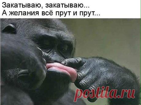 Интересные новости