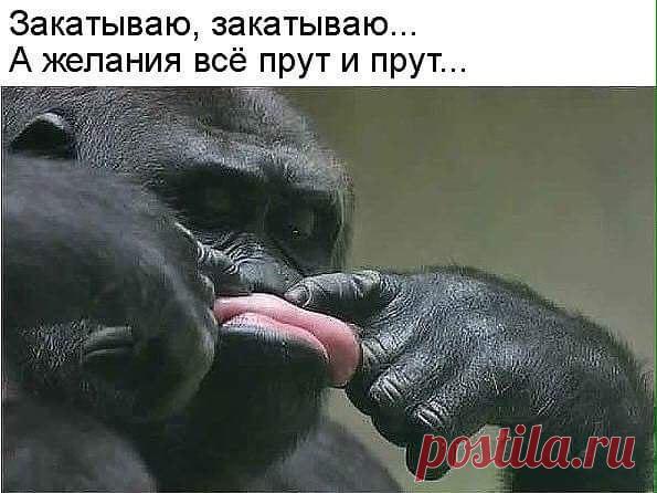 Интересные новости