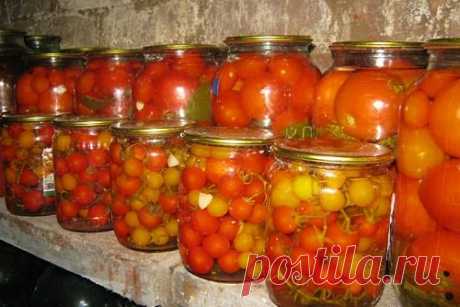 Консервирование помидоров на зиму: очень вкусные рецепты в 2 и 3 литровых банках