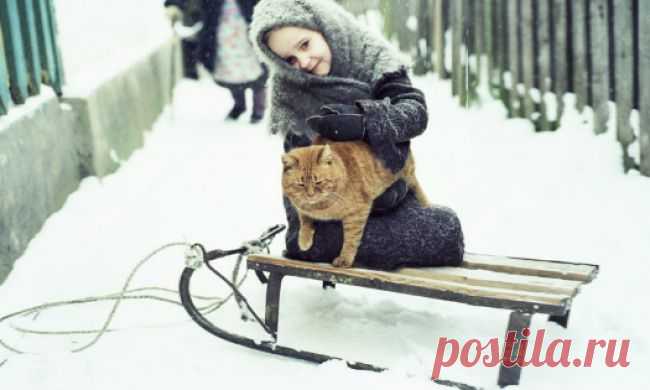 Из книги М. Дымова « пишут Богу»