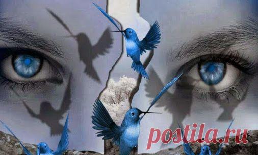 русская община – Сообщество – Google+