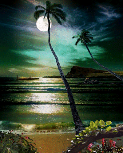 文星 a林 - Google+