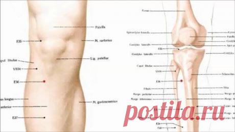 (76) Клуб активного долголетия - КАК НАЙТИ ТОЧКУ ОТ 100 БОЛЕЗНЕЙ И ПРОВЕСТИ САМОМАССАЖ

Массаж точки долголетия достигает двух главных целей: происходит клеточная стимуляция, которая обеспечивает активное долголетие, а также исцеление от множества болезней.