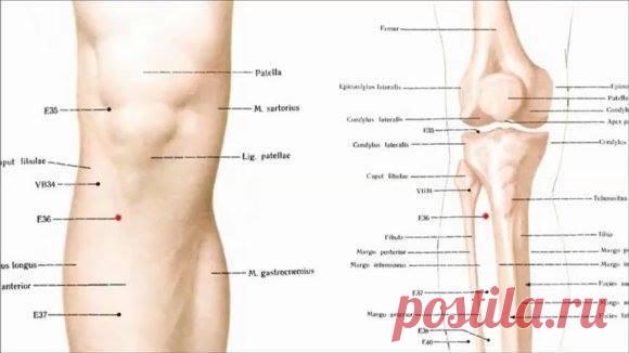 (76) Клуб активного долголетия - КАК НАЙТИ ТОЧКУ ОТ 100 БОЛЕЗНЕЙ И ПРОВЕСТИ САМОМАССАЖ

Массаж точки долголетия достигает двух главных целей: происходит клеточная стимуляция, которая обеспечивает активное долголетие, а также исцеление от множества болезней.
