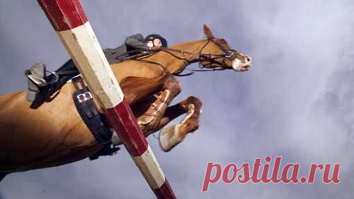 Темы в Бобслей (1/3) - Спортивный форум. - Спортивный сайт