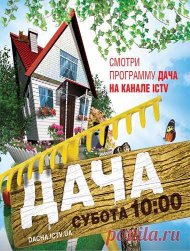 Дача ICTV . Все выпуски 2014. Последний выпуск 30.08.2014