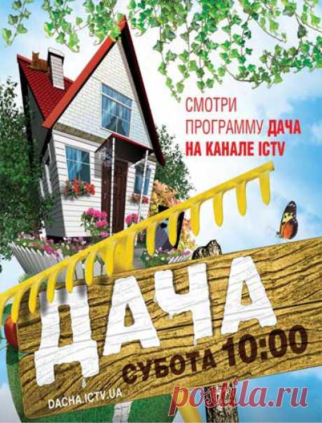 Дача ICTV . Все выпуски 2014. Последний выпуск 30.08.2014