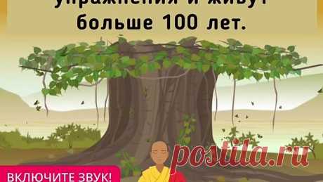 Пять тибетских жемчужин! 5 Упражнений которые продлят жизнь