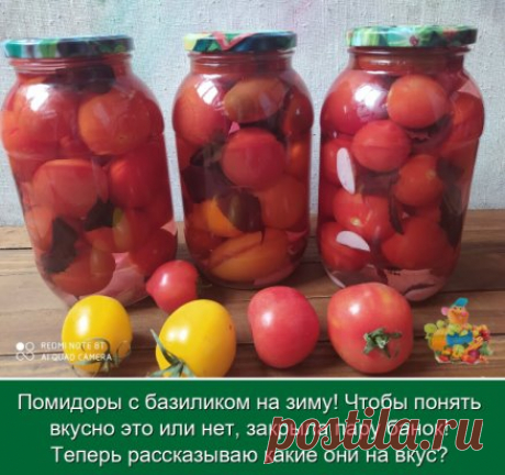 Эти три 1,5 л баночки помидор с базиликом закрутила на пробу, как раз в самый разгар созреваемости плодов, в сентябре.
Рецепт попался случайно и сразу понравился своей простотой. Поскольку у томатов начался самый пик созревания, решила закрыть три баночки. В одну уложила чисто один сорт- юбилейный Тарасенко, в другую ассорти: Черный мавр, Санька, Желтые трюфеля, а в третью попали томаты Андромеда.
И так, простой рецепт
Пропорция на 1,5 л банку
Помидоры
Базилик 2 веточки( у меня это 7-8 лист
