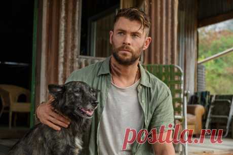 Шесть фильмов, которые захватывают своим интересным сюжетом до самых титров! | Киномир | Яндекс Дзен