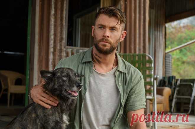 Шесть фильмов, которые захватывают своим интересным сюжетом до самых титров! | Киномир | Яндекс Дзен