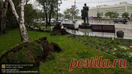 Большая часть Южно-Сахалинска осталась без электричества из-за циклона | Федеральное агентство происшествий