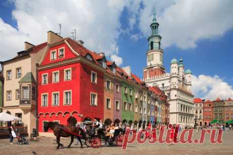 stary20rynek