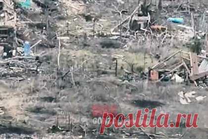 Российский боец в зоне СВО отбил украинский дрон-камикадзе автоматом. Российский боец, находясь на линии боевого соприкосновения в зоне специальной военной операции (СВО), отбил своим автоматом летевший на него дрон-камикадзе Вооруженных сил Украины (ВСУ). После этого украинский беспилотный летательный аппарат (БПЛА) взорвался, случившееся попало на видео.