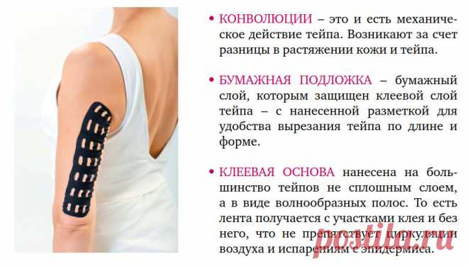 Термины. Свойства кинезиотейпов
Тейп – лента из хлопковой ткани, эластичные свойства которой приближены к параметрам кожного покрова, что не препятствует циркуляции воздуха и испарениям эпидермиса. 
На оборотной стороне на тейп нанесен слой гипоаллергенного акрилового клея, который активизируется при температуре кожи и мгновенно прилипает. 

Именно это позволяет наносить тейп на максимально растянутые мышцы и ткани. При возвращении в естественное положение тейп не отклеива...