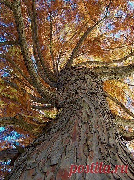 без комментариев