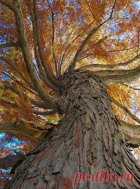 без комментариев