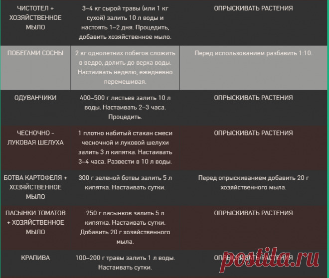 Вредители сада - тля.