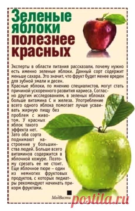 Зеленые яблоки полезнее красных