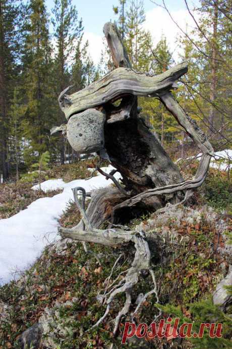 [Панорамы Кандалакши] | 497 фотографий