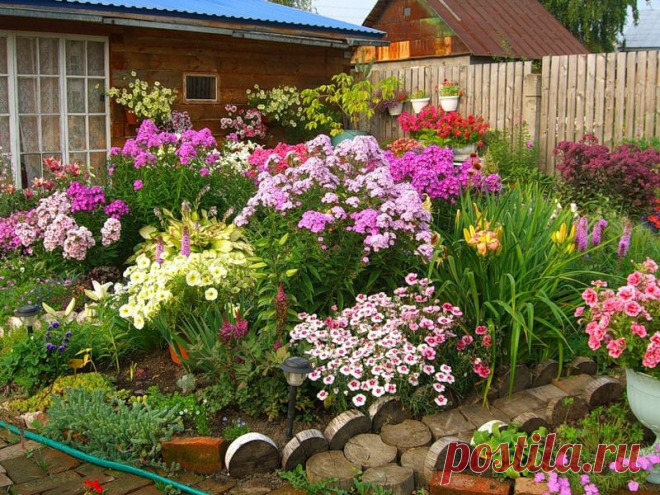 КРАСИВАЯ КЛУМБА ИЗ МНОГОЛЕТНИКОВ...