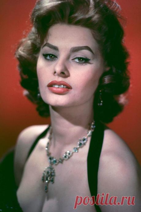 К 85-летию Софи Лорен: 100 кадров с великой дивой - Кино Mail.ru