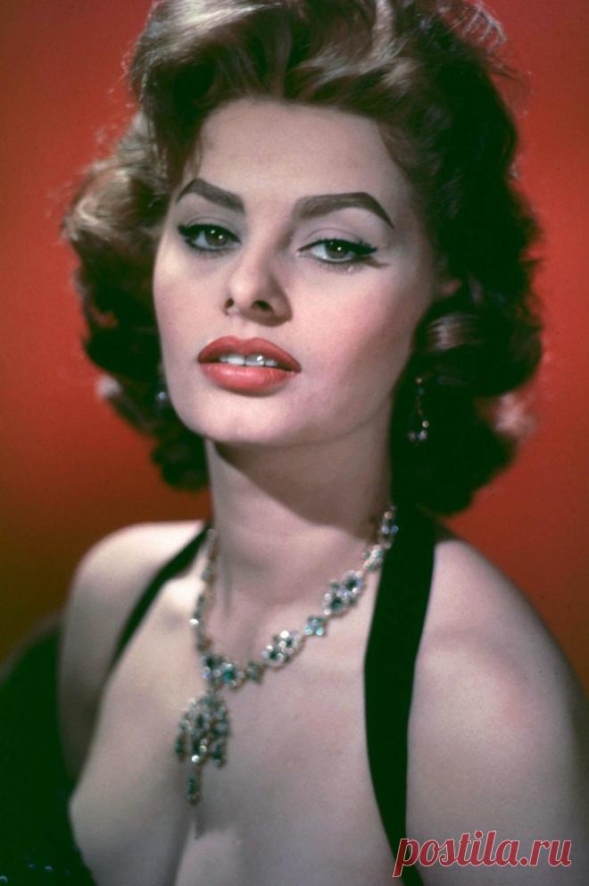 К 85-летию Софи Лорен: 100 кадров с великой дивой - Кино Mail.ru