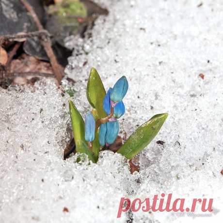 ВЕСЕННЕЕ