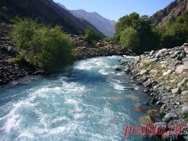 Гафур Шерматов
54 года, Таджикистан, Душанбе