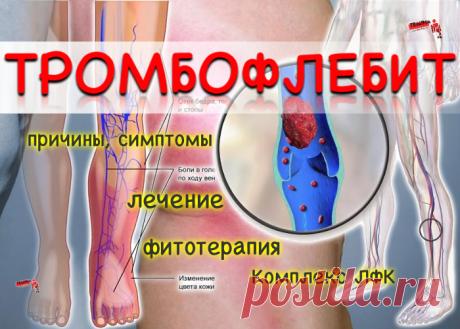 ПолонСил.ру - социальная сеть здоровья