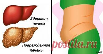 10 тревожных признаков, что ваша печень не справляется с токсинами 
И как ей помочь.

Печень – настоящий «универсальный солдат», который выполняет более 500 различных функций в нашем организме! Это также самый крупный орган нашего тела.
Печень принимает участие в фор…
