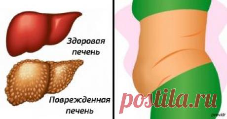 10 тревожных признаков, что ваша печень не справляется с токсинами
И как ей помочь.
Печень – настоящий «универсальный солдат», который выполняет более 500 различных функций в нашем организме! Это также самый крупный орган нашего тела.
Печень принимает участие в фор…