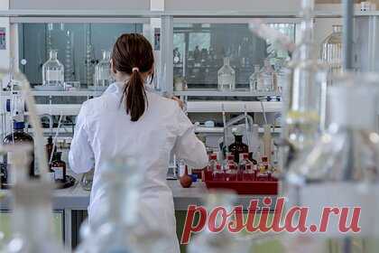 Ученые совершили открытие в области анатомии. Исследователи из Базельского университета обнаружили новый отдел жевательной мышцы, который стабилизирует нижнюю челюсть и может оттягивать ее назад, к уху. Ученые изучили 12 погруженных в формалин голов умерших людей, пожертвовавших тела науке, компьютерные томографии еще 16 тел и данные МРТ одного живого человека.