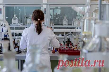 Ученые совершили открытие в области анатомии. Исследователи из Базельского университета обнаружили новый отдел жевательной мышцы, который стабилизирует нижнюю челюсть и может оттягивать ее назад, к уху. Ученые изучили 12 погруженных в формалин голов умерших людей, пожертвовавших тела науке, компьютерные томографии еще 16 тел и данные МРТ одного живого человека.