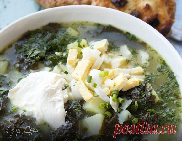 Приготовление тирамису, телятины в белом вине, щей из щавеля и как делать ватрушки: видеорецепт от Юлии Высоцкой Как испечь ватрушки с творогом в духовке, как приготовить щи из щавеля, классический тирамису, телятину в вине: видео и рецепт от Юлии Высоцкой