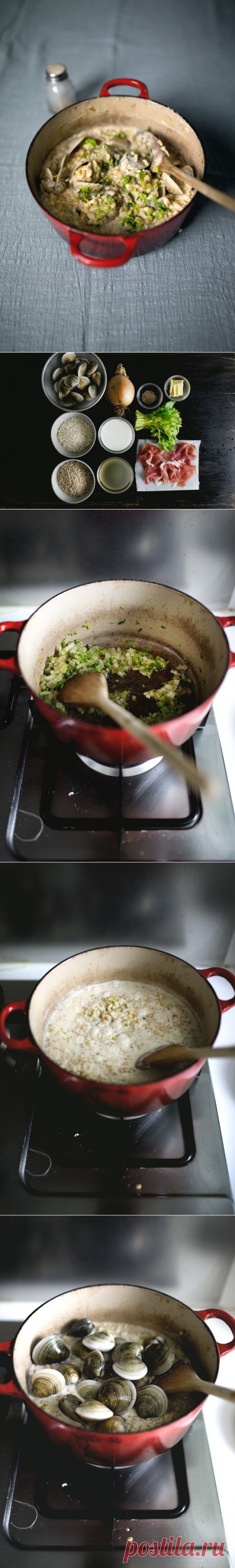 Похлебка РИЗОТТО W / СЕЛЬДЕРЕЯ прошутто SALT - Леди и Pups - сердитый блог пищи