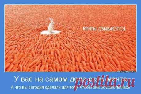 Если будешь следовать природе, то навсегда останешься здоровым.
                                                                                                                                             Пенн.