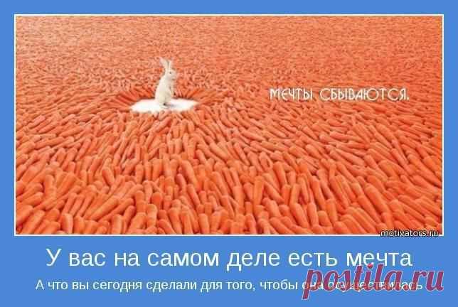 Если будешь следовать природе, то навсегда останешься здоровым.
                                                                                                                                             Пенн.
