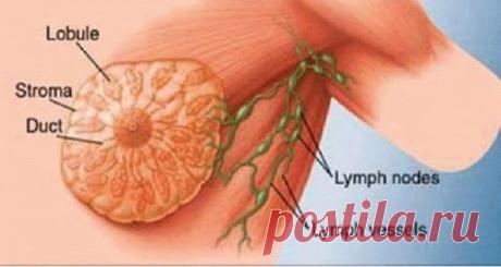 Люди пьют этот напиток каждый день, не подозревая, что он может стать причиной рака
