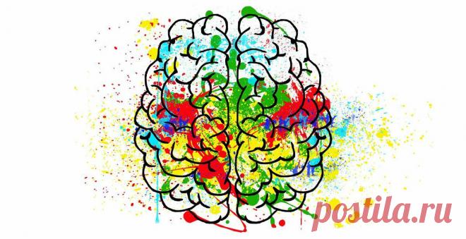 То, что вы должны знать о мозге
Изображение ElisaRiva с сайта Pixabay Изображение ElisaRiva с сайта Pixabay Мозг, пожалуй, является самым сложным органом человеческого тела (вы только вдумайтесь 100 миллиардов нейронов!). Его функционирование еще не полностью понято, но различные исследования, проведенные научным сообществом, все же позволили обнаружить несколько увлекательных фактов о том, что...
Читай дальше на сайте. Жми подробнее ➡