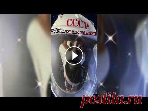 Поздравление с Днем космонавтики! #денькосмонавтики Поздравляю с Днем космонавтики! Я хочу от всей души пожелать чистого и ясного небо.Желаю расти! Стремиться, достигать и не останавливаться. Пусть Всел...