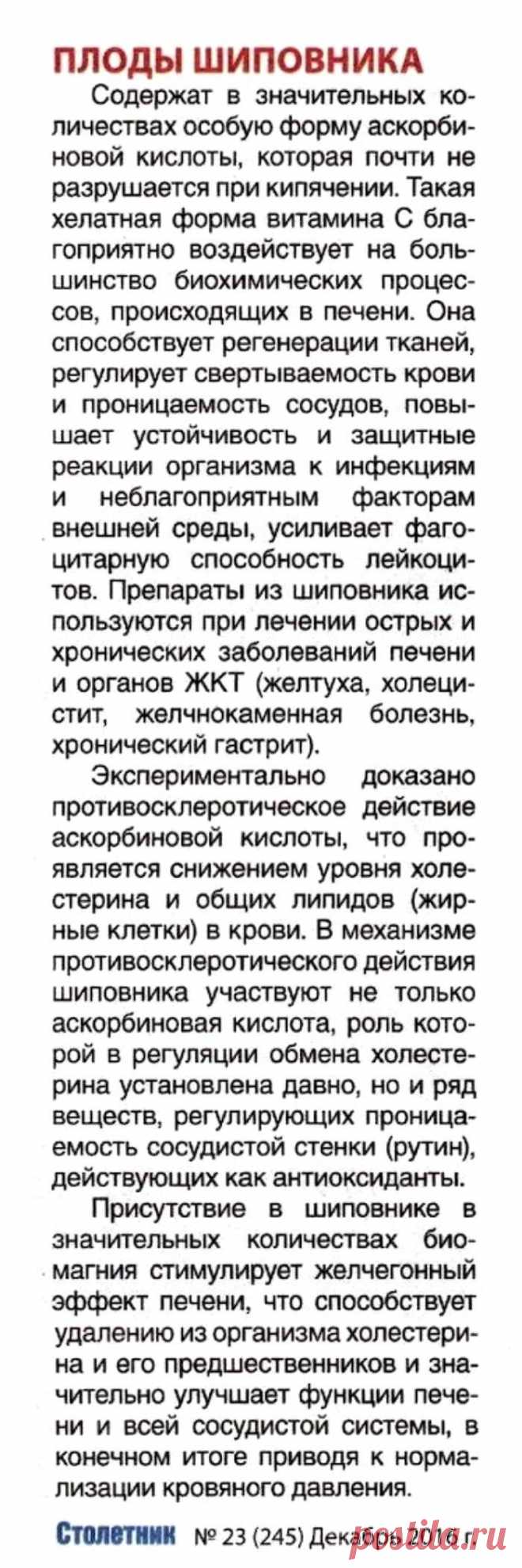 Плоды шиповника