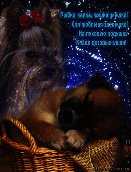 спокойной ночи!