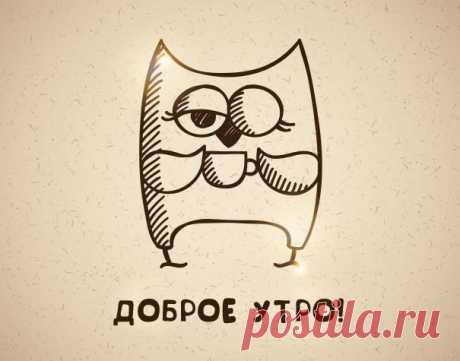 Как совам без проблем вставать по утрам - Лайфхакер