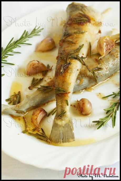 Ледяная рыба в пикантном соусе.


 Обсуждение на LiveInternet - Российский Сервис Онлайн-Дневников