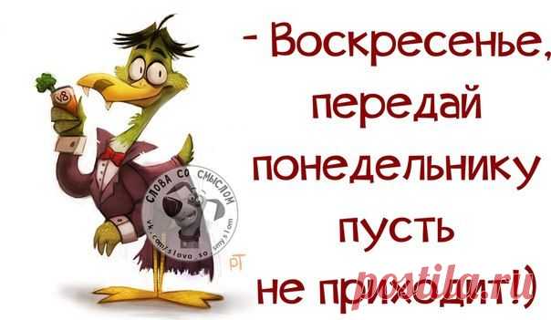Веселые картинки со смыслом :)