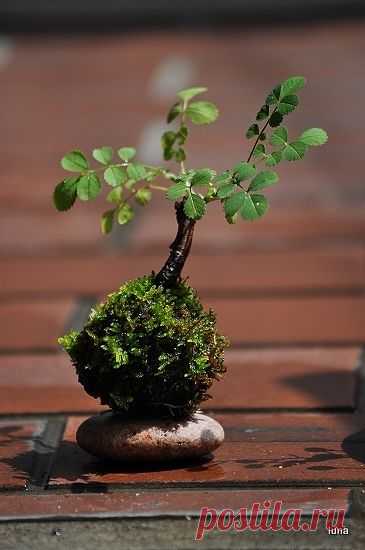 (1) Pinterest • Всемирный каталог идей